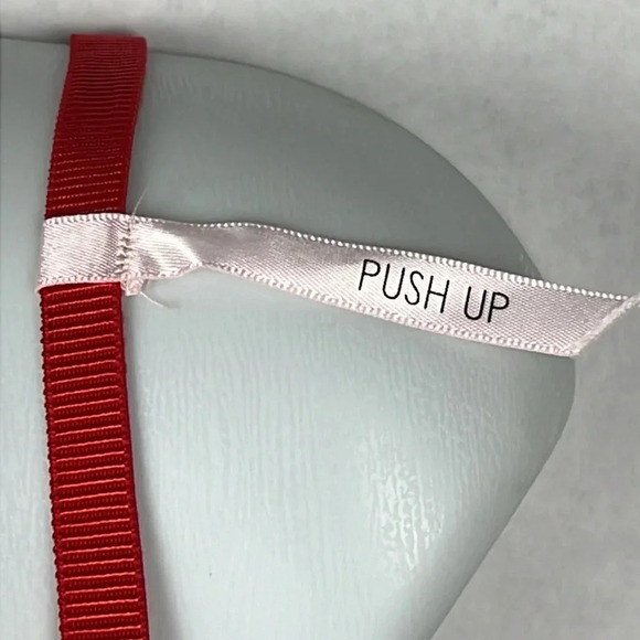 Daisy Fuentes Velvet Molded Cup Lace Push Up Teddy Bodysuit Snap Crotch NWT Sz L - Picture 11 of 16